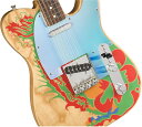 Fender / Jimmy Page Telecaster Rosewood Fingerboard Natural ドラゴンテレキャスター