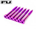 FU-TONE / Titanium String Lock Screw Set 6個セット PURPLE【フロイドローズ・アップグレード・パーツ】【お取り寄せ商品】【渋谷店】