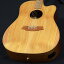 šCole Clark / FL Dreadnought CCFL2EC-BB Bunya Top Blackwood Back and Sides S/N220942602ۡʡѥ륳Ź