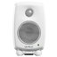 GENELEC ͥå / 8010AW (1) ˥ڸοŹ