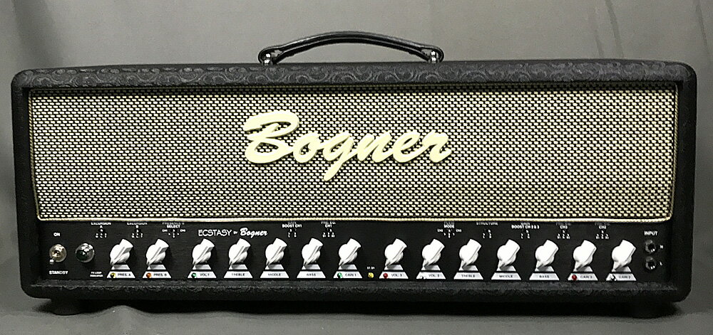 Bogner / Ecstasy 101B Comet / Salt and Pepper / Gold Piping ʡѥ륳Ź 