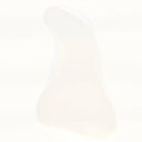 Cole Clark / Pick Guard - Clear - For FL, AN, TL, LL Mini Series コールクラーク ピックガード 【横浜店】