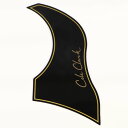 Cole Clark / Pick Guard - Black - For AN1&2, TL2 Series コールクラーク ピックガード 【横浜店】