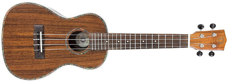 DCT Ukulele / DUC-150K 󥵡ȥ ڽëŹ