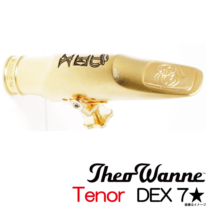 Theo Wanne セオワニ /  Tenor DEX METAL 7★ テナーサックス用