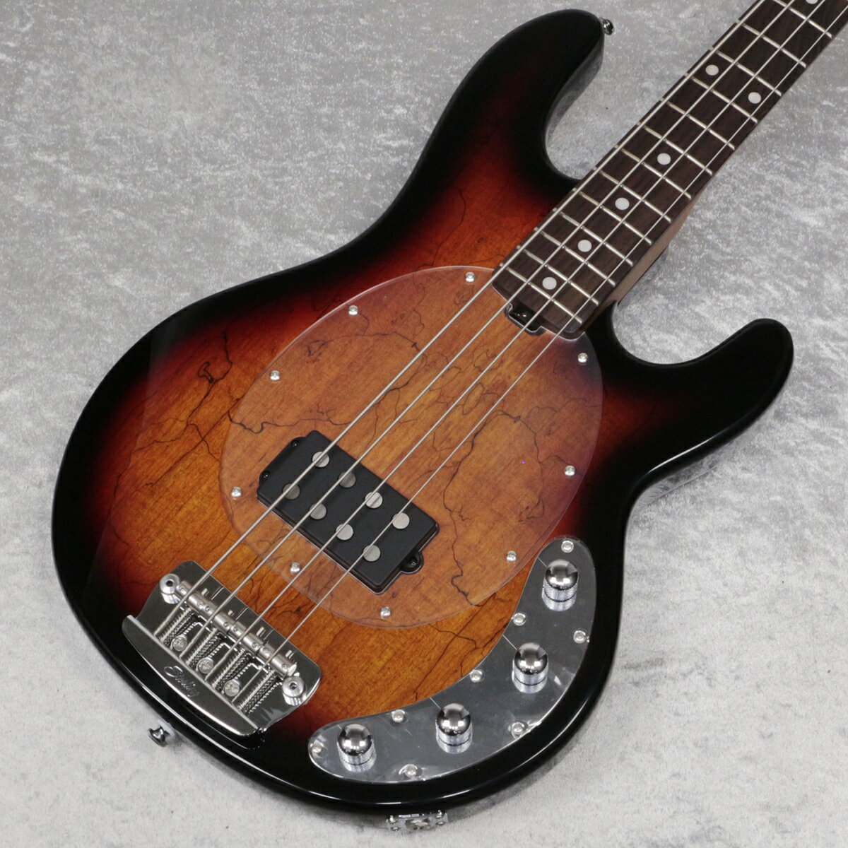 楽天市場】musicman sterling ray34の通販 楽天市場】musicman sterling ray34の通販