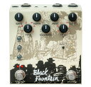 Old Blood Noise Endeavors / Black Fountain Stereo Cream Oil Can Inspired Delay + More オイル缶ディレイ ディレイ【渋谷店】