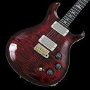 Paul Reed Smith (PRS) / 2025 DGT Birds 10Top Fire Red Burst(重量:3.48kg)【S/N:25 0402051】【御茶ノ水本店】