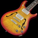 Paul Reed Smith (PRS) / 2024 McCart...(2)