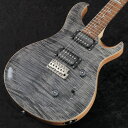 Paul Reed Smith (PRS) / 2025 SE Custom 24 Charcoal(重量:3.65kg)【S/N:CTI H009145】【御茶ノ水本店】
