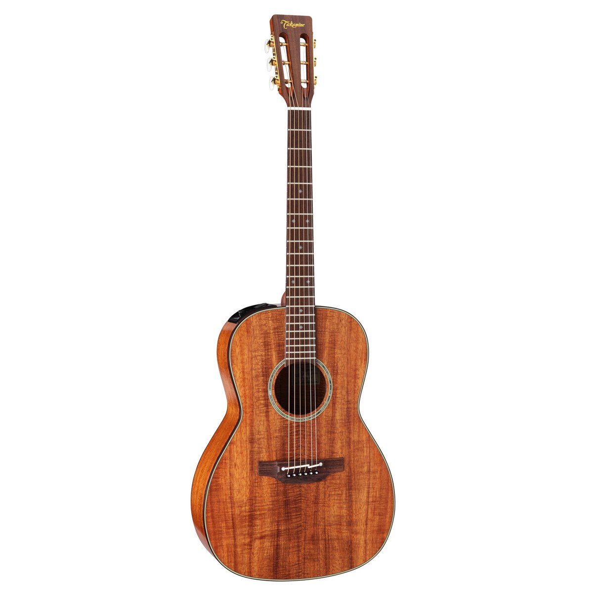Takamine T-Series ニューヨーカー Wピックアップ付エレアコ 楽天市場】takamine ニューヨーカーの通販