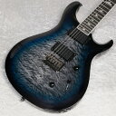Paul Reed Smith(PRS) / 2024 SE Mark...(2)