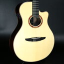 YAMAHA / NTX5 Natural【S/N ILK212A】【名古屋栄店】