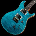 Paul Reed Smith (PRS) / 2025 Custom...(2)