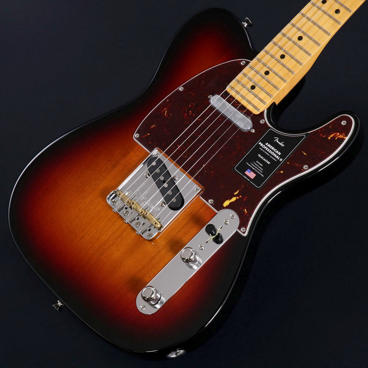 《数量限定キャンペーン！》 新品Fender USA製エレキギター対象製品をお求めいただくと、 Fender純正シリーズ最高級ギグバッグ『FE1225』をプレゼント！ キャンペーンの対象となる商品はこちらの文言が目印です。 ※数量限定のため、キャンペーンは予告無く終了する場合がございます。 ---------------------------------- American Professional II Telecasterは、70年以上に渡る革新、インスピレーション、進化を経て、現代のプレイヤーの要求に応えます。高い人気を誇るDeep Cシェイプネックは、丁寧にエッジがロールオフされ、至高の演奏体験を約束する"Super-Natural"サテン仕上げが施されています。また新たに設計されたネックヒールを採用し、快適なフィーリングとハイポジションへの容易なアクセスを実現しました。新しいV-Mod II Telecasterピックアップは、これまで以上に繊細で、Telecasterならではの独特なトゥワングを内包した魅力的なサウンドを実現しています。イントネーションが改善された"Bullet"サドルを備えた新しいトップロード／ストリングスルーブリッジは、各弦のイントネーションとテンション感を個別に調整することが可能で、今までのTelecasterブリッジの中で最も快適でフレキシブルなブリッジです。American Professional II Telecasterの手に馴染む感覚とサウンドの多様性は、手に取り、耳にした瞬間、すぐにお分かりいただけることでしょう。プロの楽器の新たなスタンダードとなるような幅広い改良が、American Professional IIシリーズには詰め込まれています。■付属品：レンチ、ハードケース、メーカー正規保証書■商品コード：0885978577347■重量：3.16kg■シリアルナンバー：US25052730 製品仕様 Body Material AlderBody Finish Gloss UrethaneControl Knurled DomeFingerboard MapleHardware Finish Nickel/ChromeNeck Finish “Super-Natural” Satin Urethane Finish on Back of Neck with Gloss Urethane Headstock FacePickguard 4-Ply TortoiseshellPosition Inlays White DotNeck MapleNeck Shape Deep "C"Scale 25.5" &#40;648 mm&#41;Fingerboard Radius 9.5" &#40;241 mm&#41;Frets 22Frets Size Narrow TallNut BoneNut Width 1.685" &#40;42.8 mm&#41;Bridge Pickup V-Mod II Single-Coil TeleNeck Pickups V-Mod II Single-Coil TeleControls Master Volume, Master TonePickup Switching 3-Position Blade: Position 1. Bridge Pickup, Position 2. Bridge and Neck Pickups, Position 3. Neck PickupBridge 3-Saddle Top-Load/String-Through Tele with Compensated Brass “Bullet” SaddlesTuning Machines Fender Standard Cast/Sealed StaggeredStrings Fender USA Bullets 3250L Nickel Plated Steel &#40;.009-.042 Gauges&#41;, PN 0733250403Case/Gig Bag Deluxe Molded Case &#40;Included&#41;