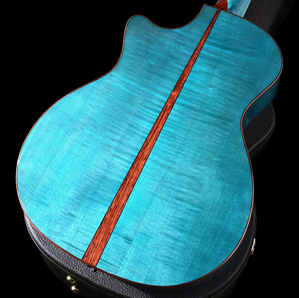 TAYLOR / C14CE B6023 CUSTOM GA #23【イベント限定カスタムモデル】 【御茶ノ水本...