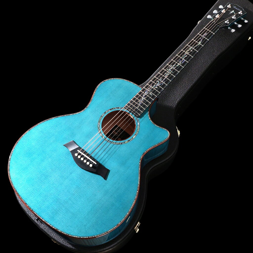 TAYLOR / C14CE B6023 CUSTOM GA #23【イベント限定カスタムモデル】 【御茶ノ水本...