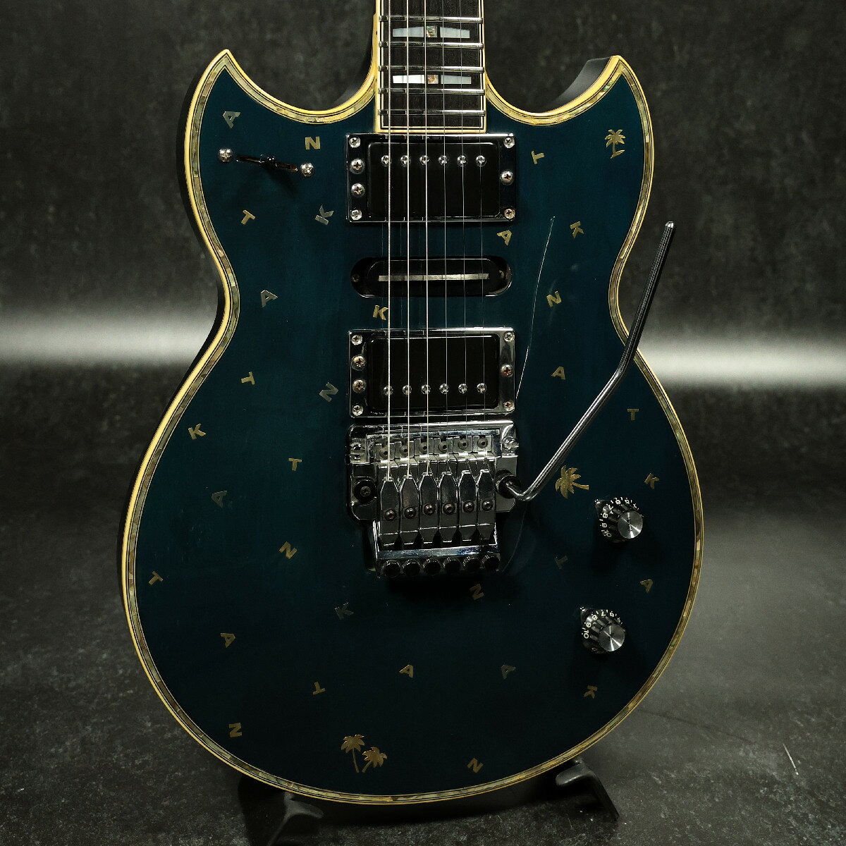 楽天市場】yamaha sg ハードケースの通販