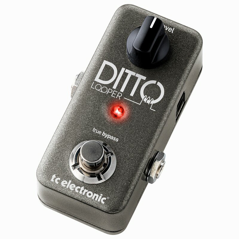 DITTO LOOPER