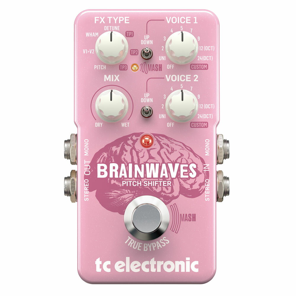 TC ELECTRONIC / BRAINWAVES ティーシーエレクトロニック ピッチシフター【新宿店】