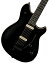 EVH / Wolfgang Special Ebony Fingerboard Stealth Black ֥+4582600680067