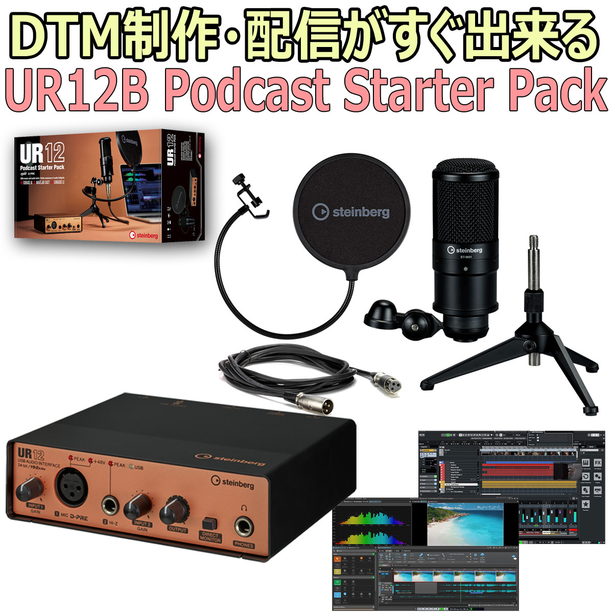 【あす楽対象商品】【特別価格！】STEINBERG｜スタインバーグ USBオーディオインターフェース UR12 Podcast Starter …