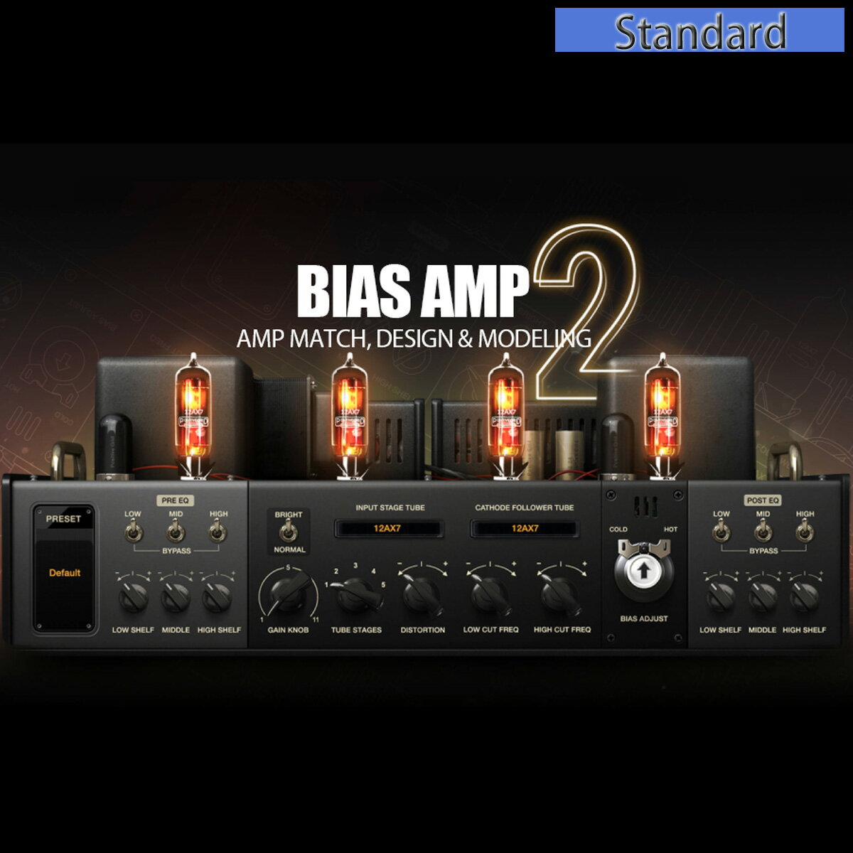 Positive Grid ポジティブ グリッド / BIAS AMP 2.0 Standard【ダウンロード版メール納品 代引不可】【PNG】