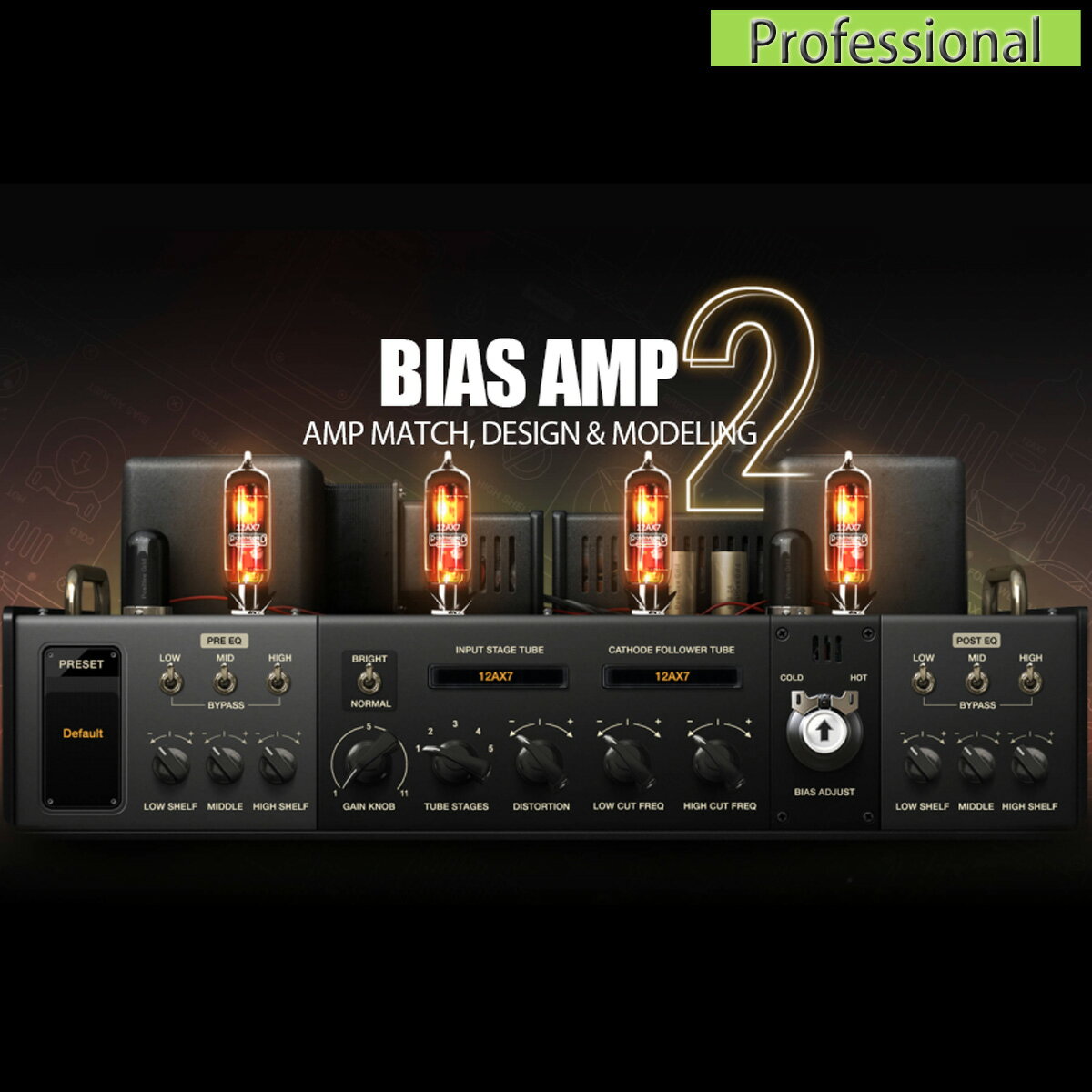Positive Grid ポジティブ グリッド / BIAS AMP 2.0 Professional【ダウンロード版メール納品 代引不可】【PNG】
