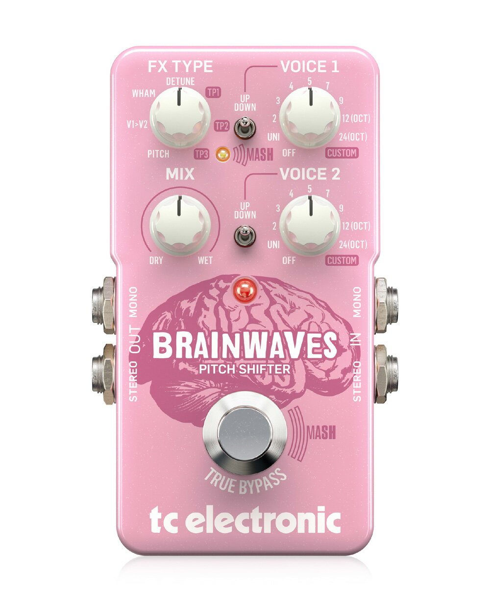 【あす楽対象商品】tc electronic / BRAINWAVES PITCH SHIFTER ピッチシフター【PNG】