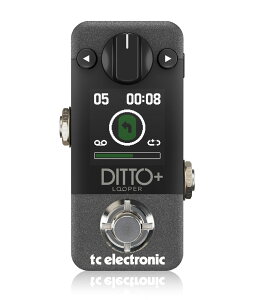 【あす楽対象商品】tc electronic / Ditto+ Looper ルーパー【PNG】