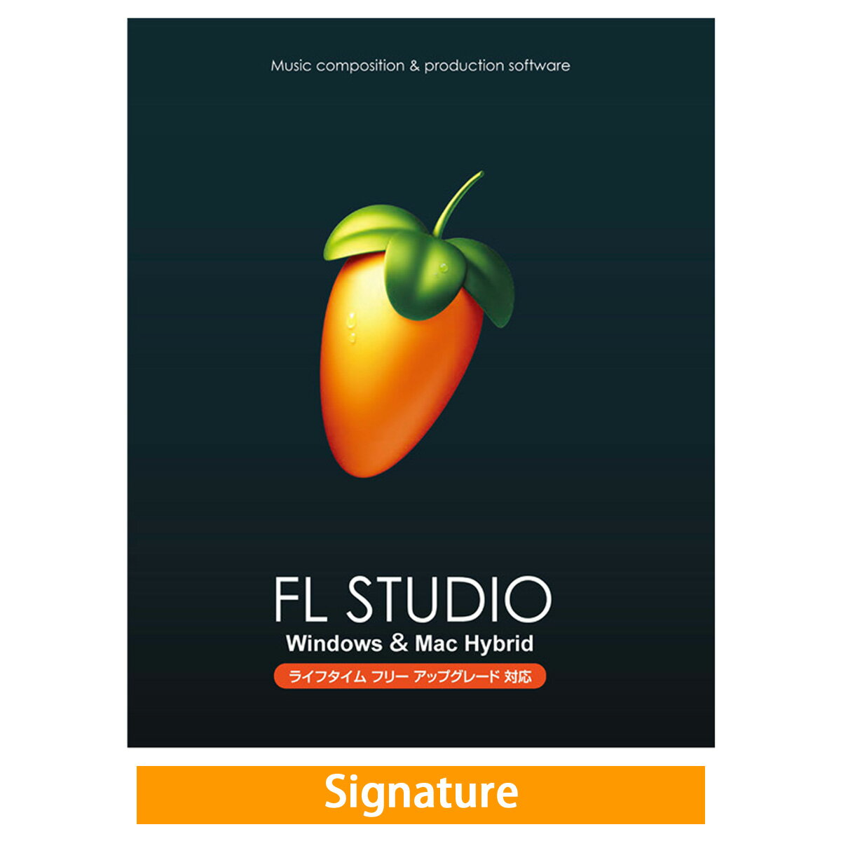 Image Line / FL Studio 21 Signatureڹʡۡڤ󤻾ʡۡPNG