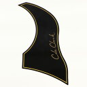 Cole Clark / Pick Guard - Black - For AN and TL コールクラーク ピックガード