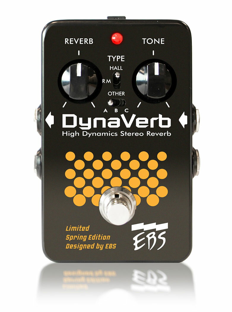 【あす楽対象商品】EBS / DynaVerb Limited Spring Edition リバーブ【PNG】