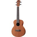 aNueNue / Ukulele Hawaiian Dream Series Mahognay II aNN-U2 Concert EN RT[g