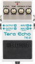 【あす楽対象商品】【純正ACアダプタープレゼント】BOSS / TE-2 Tera Echo ボス エコー TE2【PNG】《イシバシオリジナル特典付き！/ bossiboriset2》