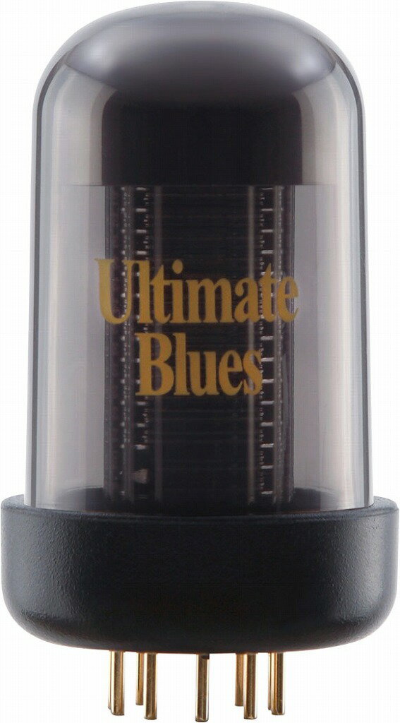 【あす楽対象商品】Roland / BC TC-UB Blues Cube Ultimate Blues Tone Capsule ブルースキューブ トーンカプセル【YRK】