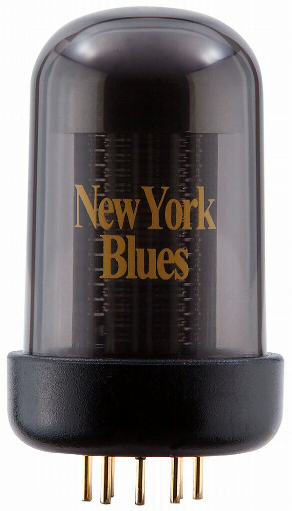 【あす楽対象商品】Roland / BC TC-NY Blues Cube New York Blues Tone Capsule ブルースキューブ トーンカプセル【YRK】