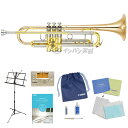 YAMAHA Xeno TRUMPET YTR-8335G ヤマハ ゼノ トランペット 第4世代 ゴールドブラス ラッカー仕上 【全部入りセット】【YRK】