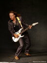 Ibanez / Steve Vai Signature model PIA3761-SLW(Stallion White) アイバニーズ エレキギター(2)