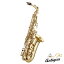 Antigua ƥ G42 Alto saxophone ȥå PRO꡼ ԽвĴա5ǯݾڡ