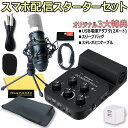 【あす楽対象商品】Roland / GO:MIXER PRO-X コンデンサーマイクセット -USB2ポートACアダプタ ステレオミニケーブル 便利なスリーブバッグ-【PNG】