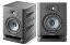 ڤоݾʡۡԿ祭ڡ桪Focal ե / ALPHA EVO 50 (ڥ) ˥ڿ̤ Ȣòʡ