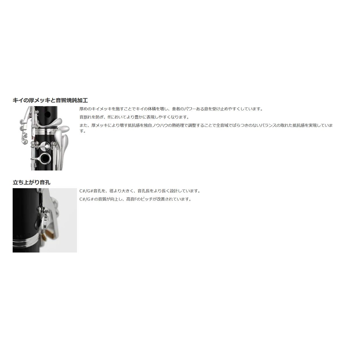 YAMAHA / YCL-CSVmaster ヤマハ カスタム B♭クラリネット Vマスター 全部入りセッ...