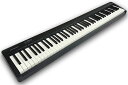 【あす楽対象商品】【中古】Roland / FP-10-BK ポータブル ピアノ【PNG】