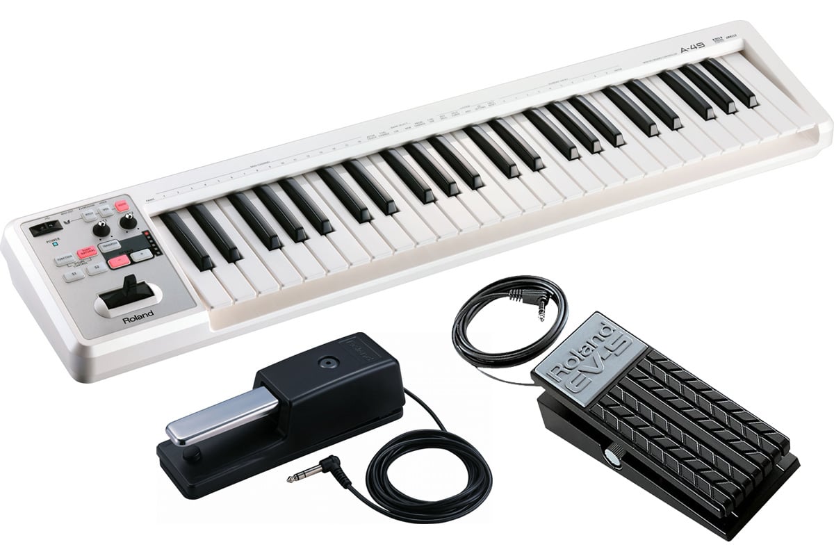 【あす楽対象商品】Roland / A-49 WH ダンパーペダル DP-10 エクスプレッション ペダル EV-5 セット！ 49鍵MIDIキーボード(A49)【PNG】