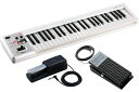 Roland A-49 WH