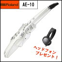 【在庫あり】Roland　ローランド　/　Aerophone　AE-10　エアロフォン《ヘッドフォンプレゼント：551540000》【送料無料】