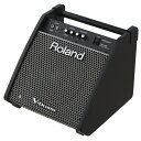 【あす楽対象商品】Roland 電子ドラム用モニタースピーカー PM-100（接続ケーブル別売）【PNG】