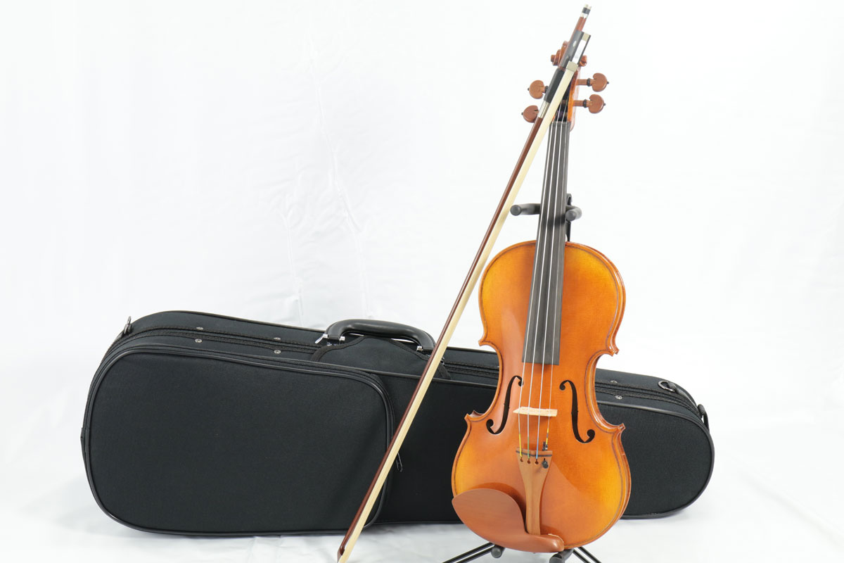 Carlo giordano / VS-2 oCIZbg 4/4 yoCIAEgtBbgz Violin Set JW_[m  S @CIy񂹏iz