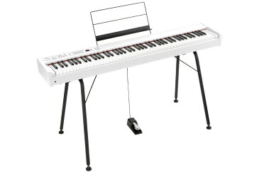 KORG コルグ / DIGITAL PIANO D1 WH【純正スタンドセット！】 デジタル・ピアノ《ワイヤレスヘッドホンプレゼント：811165000》【PNG】